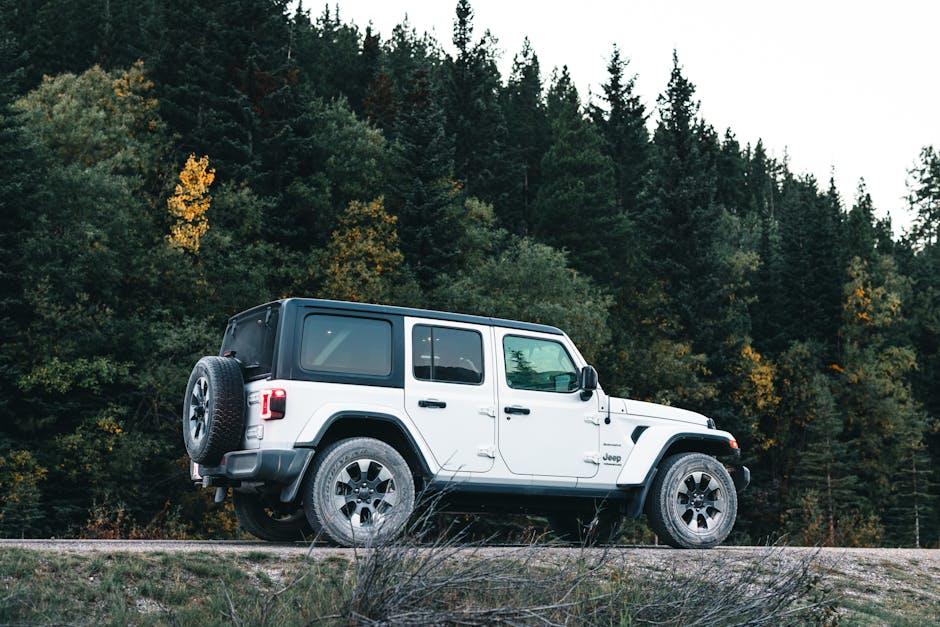 Tailoring Your Schedule to Fuel Both Work Success and Auto Adventures